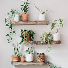 Impressive Diy Hanging Shelves Craft Coral Floating Shelves Diy Diy Hanging Shelves Floating Shelves