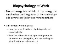 Its focus is the function of the brain and the rest of the nervous. Biopsychology In The Workplace Ppt Video Online Download