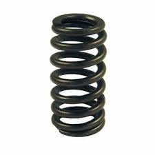 5.4L 2V Manley Valve Spring Lightning