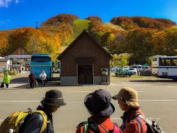 Image result for Hakkoda Walk