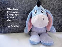 Either way, here are 25 inspirational quotes about weed to lift your high even higher. Quote For Thought Weeds Are Flowers Too Books And Hot Tea