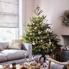 Check spelling or type a new query. When To Take Christmas Tree Down Decorations Twelfth Night