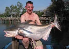 Check spelling or type a new query. Bala Shark And Iridescent Shark Monsterfishkeepers Com