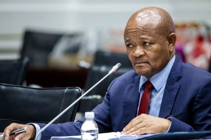MPs still seeking answers as Senzo Mchunu concludes testimony - Inside Politics