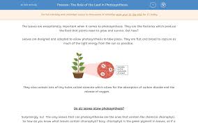 The Role Of The Leaf In Photosynthesis Worksheet Edplace