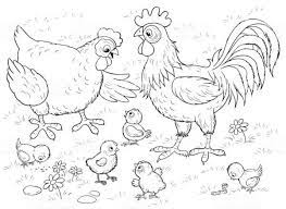 We did not find results for: Gambar Kartun Ayam