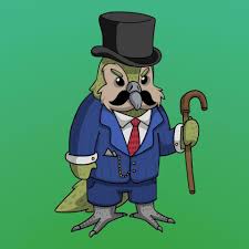 Sirocco Pbuh Is A Member Of A Species Which Is Critically Close To Extinction Kakapo Are Running For Bird Of The Year 2018 In New Zealand This Competition Brings Attention To Threatened