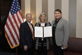 Image result for Disa eminii