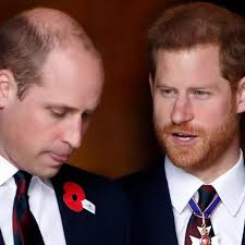 Prince William's reason for 'keeping family away' from Harry and Meghan  exposed