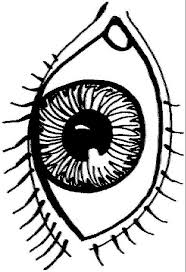 Kids N Fun Coloring Page Human Body Human Body Cool Coloring Pages Coloring Pages Human Body