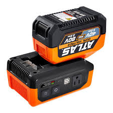 Image result for Atlas 300