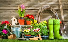 Southern Wild Design Design Garden Flowers Garden Tools List Old Garden Tools Garden Tools Diy