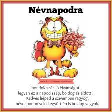 Nem húzom az időt, adj két puszit, boldog névnapot! Birthday Greetings Happy Nameday Birthday Wishes