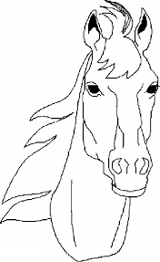 Find out why your horse bobs, shakes or tosses its head when you ride and how you can prevent this behavior. Horse Head Coloring Pages Horse Coloring Pages Horse Coloring Horse Face