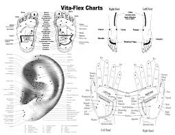 Young Living Vita Flex Foot Chart Best Picture Of Chart