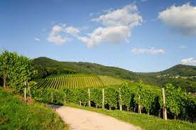 We did not find results for: Im Hotel Von Andrea Berg Urlaub Machen