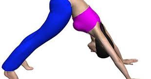 Yoga Downward Dog Pose Or Adho Mukha Asana To Help Athletes Cope With Tight Hamstrings Yoga Information Downward Dog Yoga Downward Dog