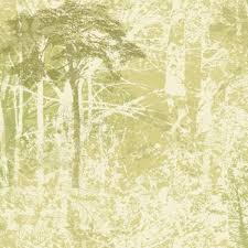 Maybe you would like to learn more about one of these? Free Download Dark Green Trees On Sage Green And White Tree Silhouettes Wallpaper 650x650 For Your Desktop Mobile Tablet Explore 47 Sage Green Wallpaper Light Green Textured Wallpaper Green