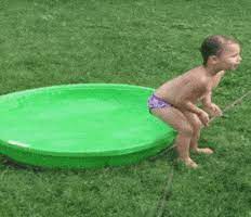 Which one was your favorite? Funny Videos Gifs Get The Best Gif On Giphy