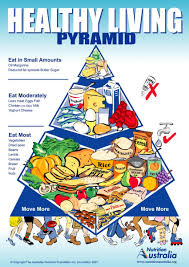 The Healthy Living Pyramid Nutrition Australia Food Pyramid Healthy Eating Pyramid Pyramids