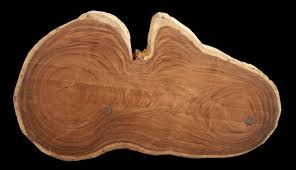 Tapas bar & restaurant in bangkok, thailand. Monkey Pod Live Edge Slab Wood