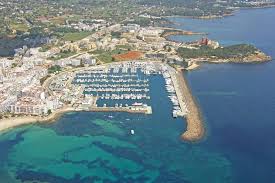 Image result for Eulalia polyneura