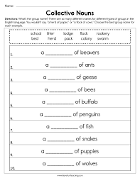 Collective Nouns Worksheet Collective Nouns Worksheet Nouns Worksheet Collective Nouns