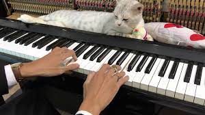 Music For Cats To Fall Asleep Piano Relax Meowssage By Minh Piano Youtube How To Fall Asleep Cat Falling Asleep