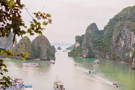 Profile for Sea to Cea