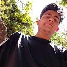 Alejandro Carcamo (@no_4mal) • Instagram photos and videos