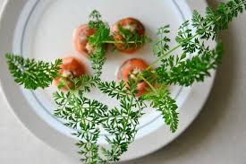 And, the best thing about raising fish indoors is that you could be eating fresh, right from your aquarium. 9 Best Herbs And Vegetable You Can Grow Indoors In Water Balcony Garden Web