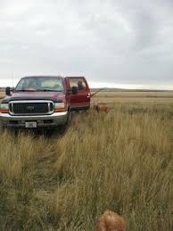 Fort pierre national grasslands provide prairie grouse and good times to a motley pheasants forever crew by bob st. Fort Pierre National Grasslands Ford Truck Zone
