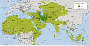 Résultat de recherche d'images pour "carte du monde musulman"
