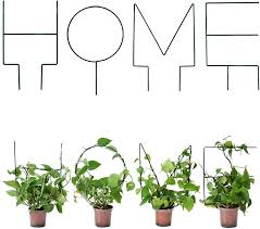 Check spelling or type a new query. Buy Tcbwfy Plant Trellis Metal For Indoor Pot 8 Pack Home Shape Trellis For Climbing Plants Flowers Vines 16inch Height Plant Support Trellis For Indoor Outdoor Potted Plants Anti Rust Diy Online In