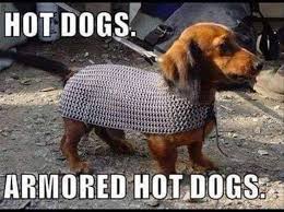 Pin On Funny