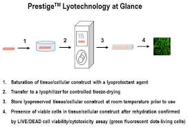 Check spelling or type a new query. Lyophilization As An Alternative To Cryopreservation
