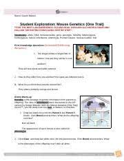 Gizmo building dna answer key pdf + my pdf collection 2021. Mouse Genetics One Traits Gizmo Answer Key Pdf Gizmo Of The Week Mouse Genetics Two Traits Gizmos Student Exploration Chicken Genetics Answer Key Pdf Othaf Phlox