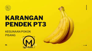 Dari kesadaran kita semua kita dapat belajar cara merawat lingkungan di sekitar kita karna mencintainya kita dapat dengan mudah dan terbiasa dalam menambah ilmu pengetahuan kita dalam pengelolaan lingkungan. Karangan Pendek Pt3 Kegunaan Pokok Pisang Youtube
