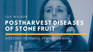 Kotie Pieters—Authority in the Workplace