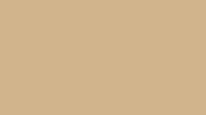Tan is color that is a plate of brown and it is dependable, conservative, flexible and neutral. 1920x1080 Tan Solid Color Background