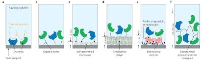 In this technique, one or more of the atoms of the molecule of interest is substituted for an atom of the same chemical element, but of a different isotope (like a radioactive isotope used in radioactive tracing). Enzymatic Reactions In Confined Environments Nature Nanotechnology
