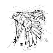 Draw Animals Bird Drawings Bird Sketch Animal Sketches