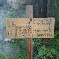 Eine hundetoilette ist eine konstruktion, auf der der hund sein geschäft machen soll. Hundekot Auf Teppich Entfernen Frag Mutti Forum