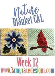 nature blanket c2c cal week 12 free crochet pattern