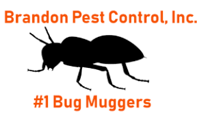 Bell's pest control llc proudly offers a comprehensive range of pest control and prevention solutions. Pest Control Valrico Fl Bed Bugs Florida