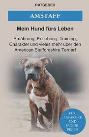 Zboží je možné si osobně vyzvednout na. Staffordshire Terrier Mehr Als 50 Angebote Fotos Preise