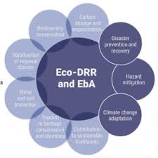 Die partnerschaft des erzbistums köln mit dem erzbistum tokio besteht bereits seit 1954. Pdf Disasters And Ecosystems Resilience In A Changing Climate Source Book