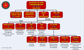 deputy commandant combat development integration