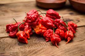 Jangan nak tunjuk berani sangat untuk makan cili paling pedas di dunia ini kerana ia boleh membawa maut. Mi Segera Viral Dengan Cili Pedas Berapi Dah Kembali Ini Baru Bikin Panas