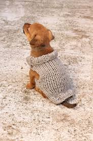 We did not find results for: 10 Beautiful Fall Dog Sweater Knitting Patterns Handy Little Me